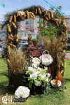 Festa de Santo António_ LM_LRDL_ 19
