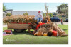 Desfolhada Tradicional_ LNSM-CD_ 2026 (19)