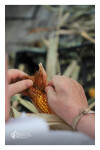Desfolhada Tradicional_ LM-LRDL_ 2026 (8)