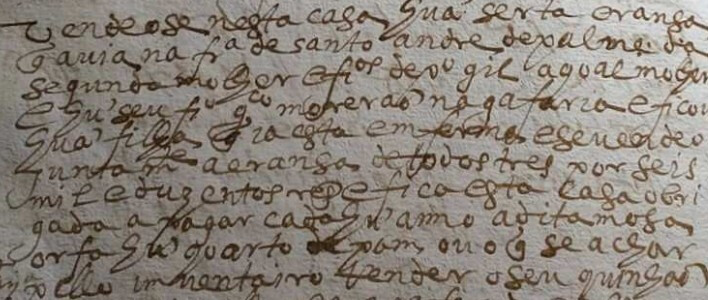 Excerto - texrto gafaria