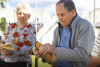 Desfolhada tradicional_ LNSM_ CD_ 24