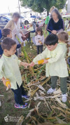 Desfolhada tradicional_ CSCMENC_EI_ 09