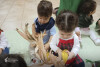 Desfolhada tradicional_ CAF_ 31
