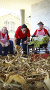 Desfolhada tradicional_ UCCI_ 38