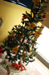 Natal_2021_CSCMENC_043