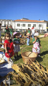 Desfolhada Tradicional_ CIB_ Sala 3 (2)