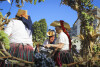 Desfolhada tradicional_ LM_LRDL_ 58