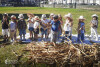 Desfolhada Tradicional_ CIB_ Sala 6 (3)