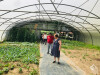 Visita à Quinta Pedagógica de Braga_ LSA (5)