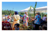 Desfolhada Tradicional_ CSCMENC_ 2026 (13)