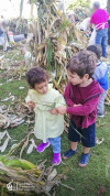Desfolhada tradicional_ CSCMENC_EI_ 11
