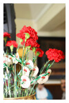 25 ABRIL_ LM_LRDL_ 16