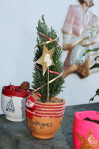 Natal_2021_IRSI_054