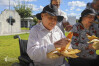 Desfolhada tradicional_ LNSM_ CD_ 23