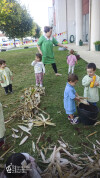 Desfolhada tradicional_ CSCMENC  (10)