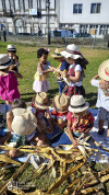 Desfolhada Tradicional_ CIB_ Sala 7 (1)