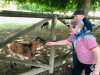 Visita à Quinta Pedagógica de Braga_ LSA (3)