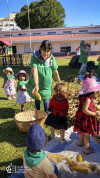 Desfolhada Tradicional_ CIB_ Sala 3 (12)