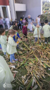 Desfolhada tradicional_ CSCMENC_EI_ 20