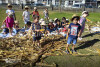 Desfolhada Tradicional_ CIB_ Sala 7 (6)