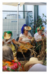 Desfolhada Tradicional_ LM-LRDL_ 2026 (13)