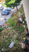 Desfolhada tradicional_ CSCMENC  (13)