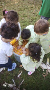 Desfolhada tradicional_ CSCMENC  (9)