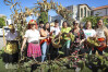 Desfolhada tradicional_ LM_LRDL_ 56