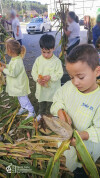 Desfolhada tradicional_ CSCMENC_EI_ 14