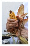 Desfolhada Tradicional_ LM-LRDL_ 2026 (9)