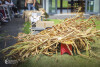 Desfolhada tradicional_ LCSCMENC_ 08