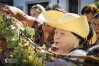 Desfolhada tradicional_ LM_LRDL_ 49