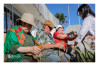 Desfolhada Tradicional_ LNSM-CD_ 2026 (23)