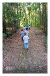 Passeio Floresta_ CSCMENC (8)