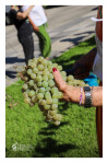 Desfolhada Tradicional_ LM-LRDL_ 2026 (27)