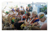 Desfolhada Tradicional_ LM-LRDL_ 2026 (6)