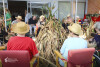Desfolhada tradicional_ LSA_ 28