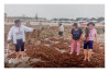 Praia_ LM-LRDL_ 2026 (8)