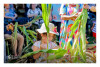 Desfolhada Tradicional_ CSCMENC_ 2026 (16)