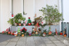 Natal_2021_IRSI_055