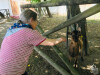 Visita à Quinta Pedagógica de Braga_ LSA (1)