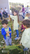 Desfolhada tradicional_ CSCMENC_EI_ 03