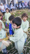 Desfolhada tradicional_ CSCMENC_EI_ 04