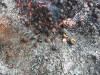 Magusto_ LSA_ LNSM_ 08