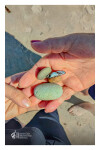 Praia_ LSA_ 2026 (4)