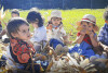 Desfolhada Tradicional_ CIB (10)