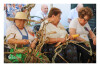 Desfolhada Tradicional_ LM-LRDL_ 2026 (16)