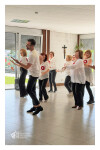 DIA DA DANÇA_ LNSM_ 25