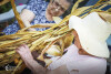 Desfolhada tradicional_ LCSCMENC_ 16