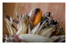 Desfolhada Tradicional_ LSA_ 2026 (3)